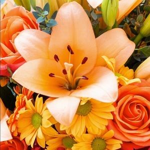 Meet your Posher, Bethzy